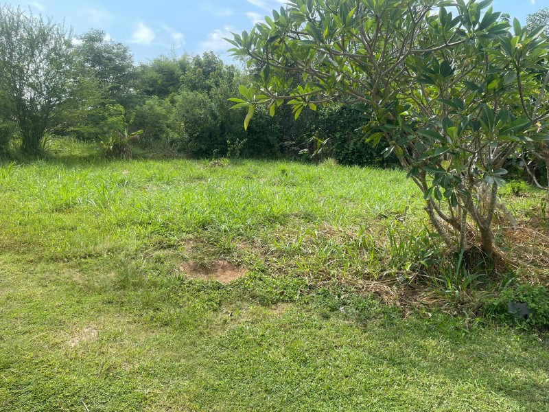 TEPPROP-Land For Sale-Chonburi-Sattaheeb (1)