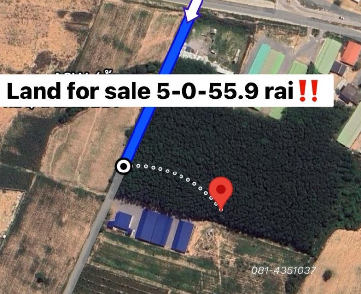 ที่ดินระยอง มาบยางพร ที่ดินปลวกแดง 1