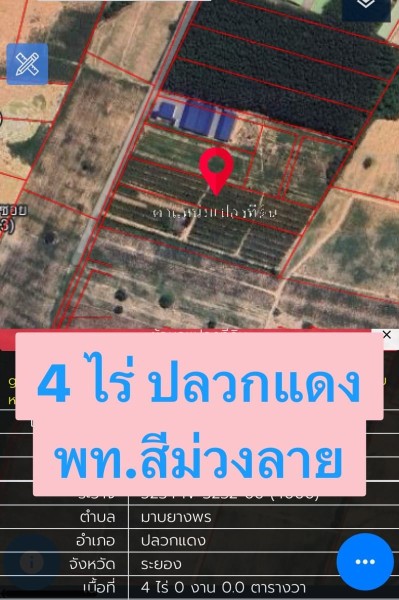 TEPPROP Land For Sale Rayong Pluakdaeng 1