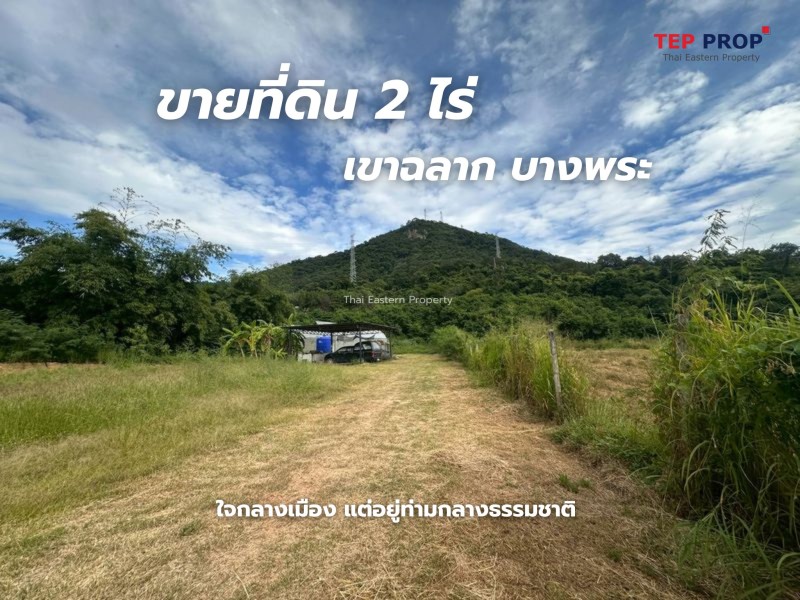 TEPPROP Land For Sale Khao Cha Lak Sriracha Bangphra 1